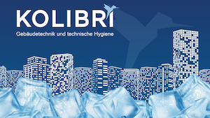 Kolibri